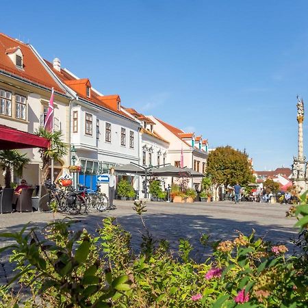 St Antoni Suite2 Stilvolle Ferienwohnung Mit Parkplatz In Eisenstadt Exterior foto